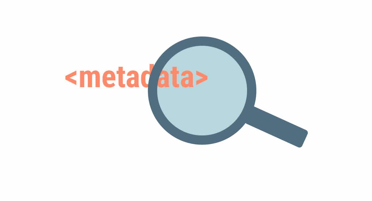 Wordpress - metadata